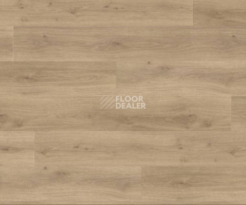 Ламинат Haro Tritty 100 Gran Via 4V ДУБ ЭМИЛИЯ ПУРО 538769 фото 1 | FLOORDEALER